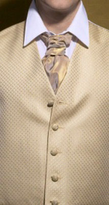 Golden Rod - Shimmer Tie